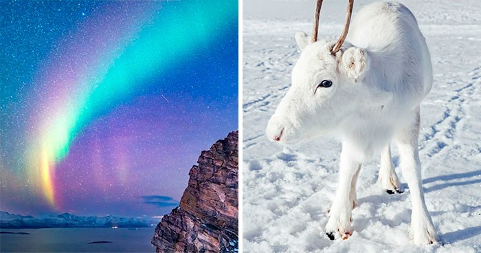 30 urzekających zdjęć Norwegii, które doskonale ilustrują, dlaczego ten kraj jest tak wyjątkowy!