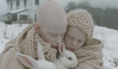 Oto seria zdjęć „Porcelain Beauty” przedstawiająca osoby chore na albinizm!