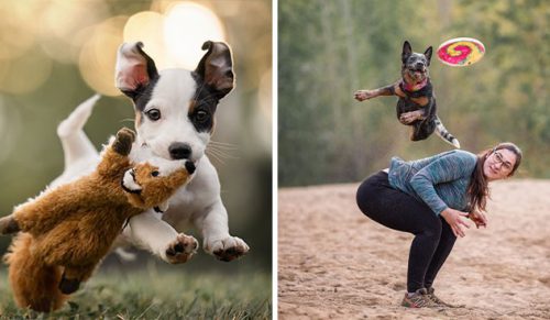 Fotograf robi zdjęcia psom w biegu i w rezultacie powstają najcudowniejsze wyrazy radości!