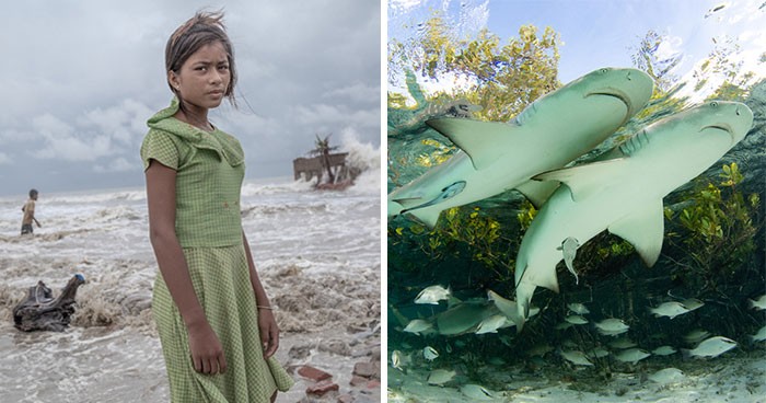 30 otwierające oczy zwycięskich zdjęć z konkursu Mangrove Photography Awards 2024!