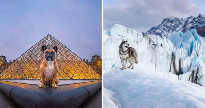 Fotograf podróżował po świecie, aby uchwycić ponad psy w ich naturalnych siedliskach na potrzeby mojego projektu „Dogs Of The World”!