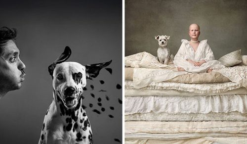 Oto 29 najlepszych zdjęć z 2024 roku, udostępnionych przez Dog Photography Awards®!