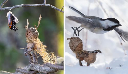 Urocze małe stworzenia autorstwa Davida M Birda!