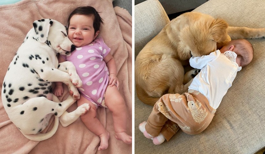 15 uroczych duetów dzieci i ich zwierząt, które są naprawdę nierozłączne!