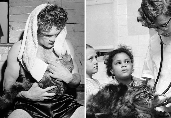 Ta dziennikarka zbiera stare zdjęcia kotów, które mogą roztopić twoje serce!