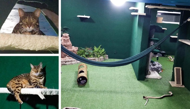 16 osób, których dzieła dla zwierzaków nadały miłości zupełnie nowe znaczenie!