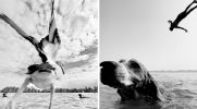 Ta fotografka potrafi znaleźć idealny moment na swoje czarno-białe zdjęcia!