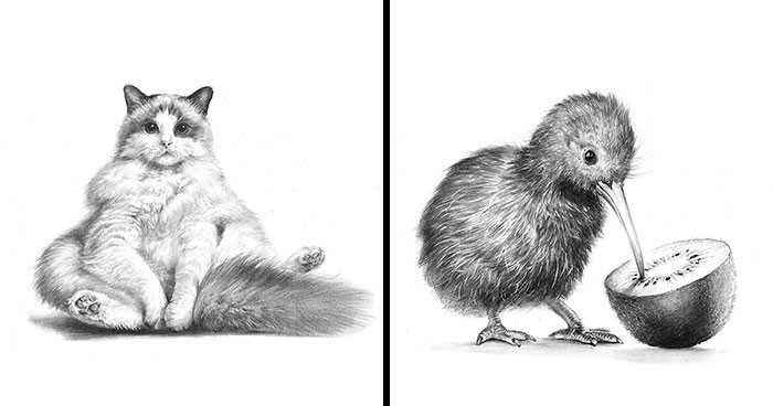 Ten artysta łączy hiperrealizm ze szkicami. Oto jego 30 najlepszych prac!