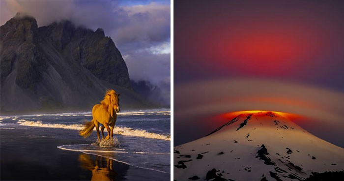 20 zdjęć natury, które skradły show na Fine Art Photography Awards 2025!