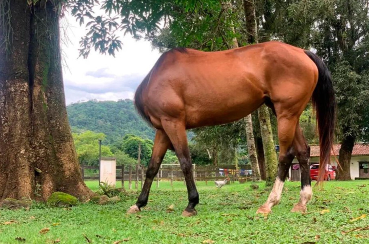 15 złudzeń optycznych, które wydają się normalne, dopóki nie zdasz sobie sprawy, co się naprawdę dzieje!