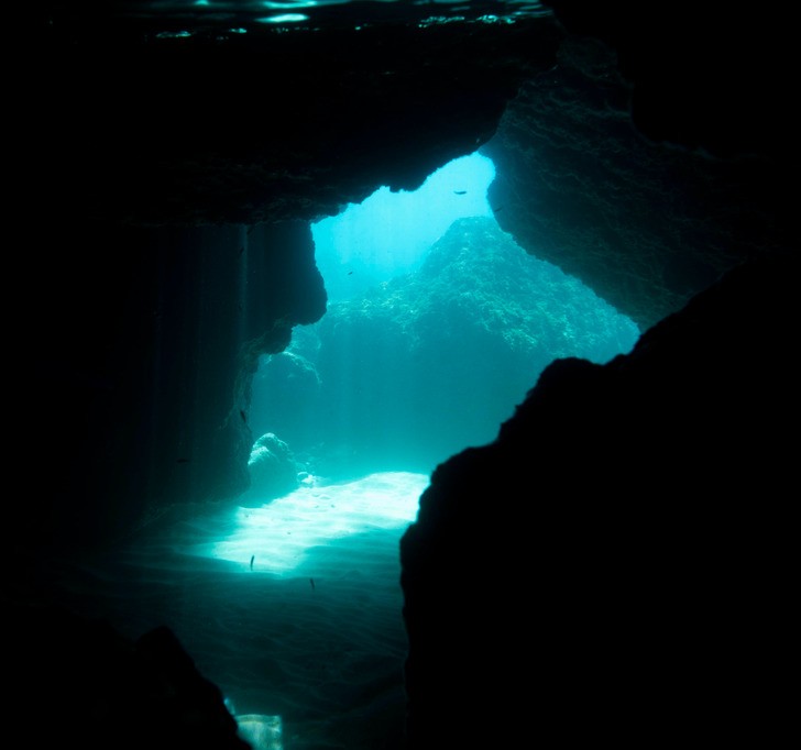 Naukowcy dotarli na dno oceanu — a ich odkrycie zmienia wszystko!