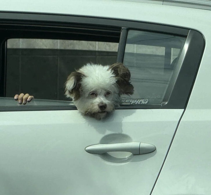 15 mylących zdjęć, które dowodzą, iż perspektywa jest wszystkim!