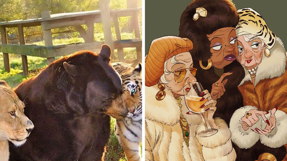 17 nowych zabawnych portretów Connie Kang, które ukazują dziwaczną stronę zwierząt!