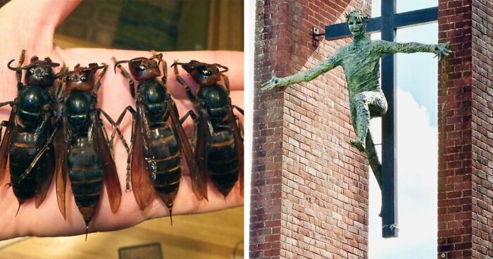 30 zdjęć, które powinny zawierać księdza, terapeutę i płonący kosz na śmieci!