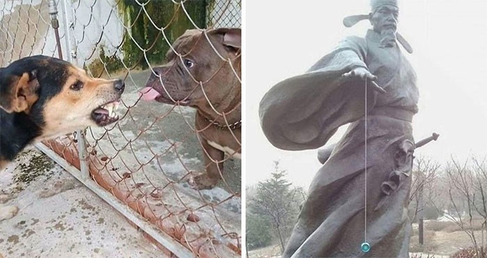 30 niespodziewanie zabawnych zdjęć, które dowodzą, iż Internet jest dziwnym miejscem!