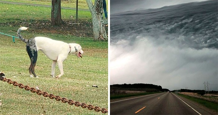 30 chwil, gdy rzeczy wyglądały jak coś innego i ludzie musieli się nimi podzielić!