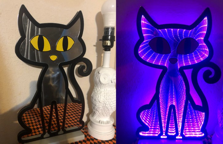 14 osobliwych skarbów, które ludzie odkryli w dżungli lumpeksów!