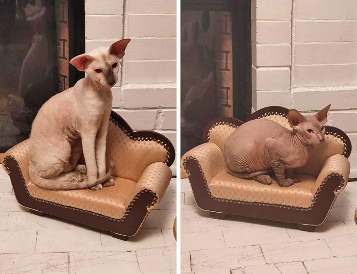 19 osób, które znalazły skarby w sklepie z artykułami używanymi!