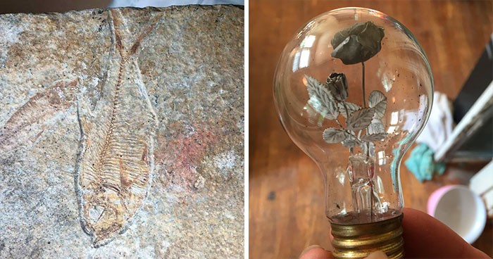 Dziwne i fascynujące znaleziska, które ludzie odkryli podczas eksploracji swoich starych domów!