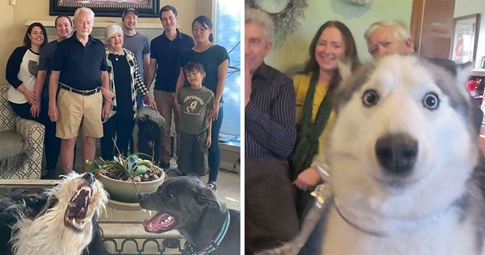 30 zabawnych sytuacji, w których zwierzaki zrujnowały idealne ujęcie i ukradły cały blask reflektorów!