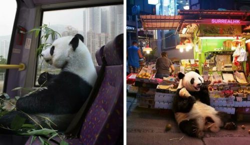 23 zabawne prace SurrealHK z pandami, które zamieniają Hongkong w plac zabaw!
