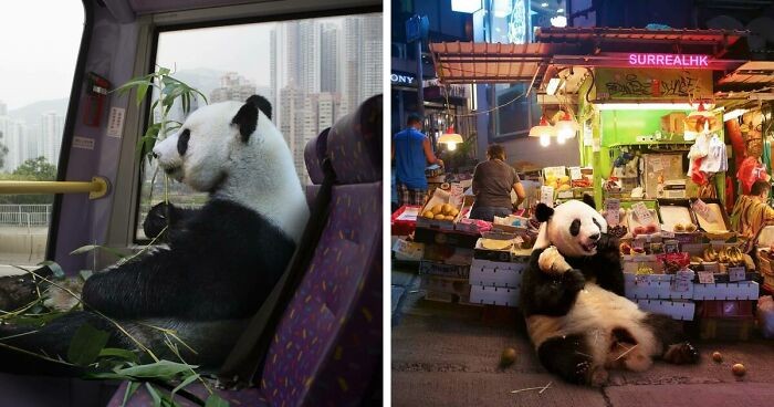23 zabawne prace SurrealHK z pandami, które zamieniają Hongkong w plac zabaw!