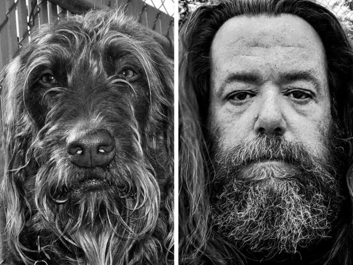 25 zdjęć, które dowodzą, iż właściciele i ich pupile są do siebie łudząco podobni!