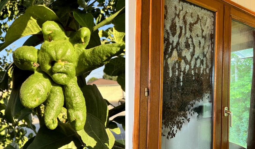 17 osób, które uchwyciły naturę robiącą coś zupełnie nieoczekiwanego!