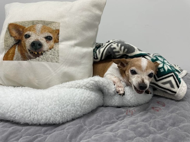 22 chwile, gdy nieskończona cierpliwość i szczypta talentu stworzyły coś niesamowitego!