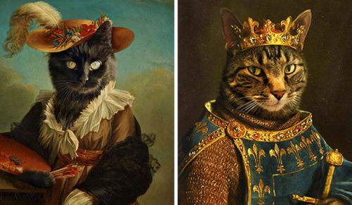 25 nowych kocich portretów, które sprawiają, że koty wyglądają jak arystokraci!