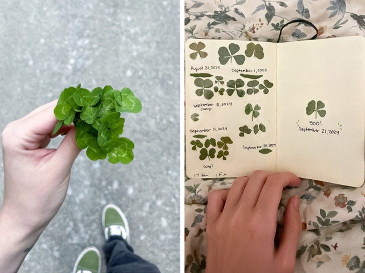 19 osób, których kolekcje z pewnością nie są nudne!