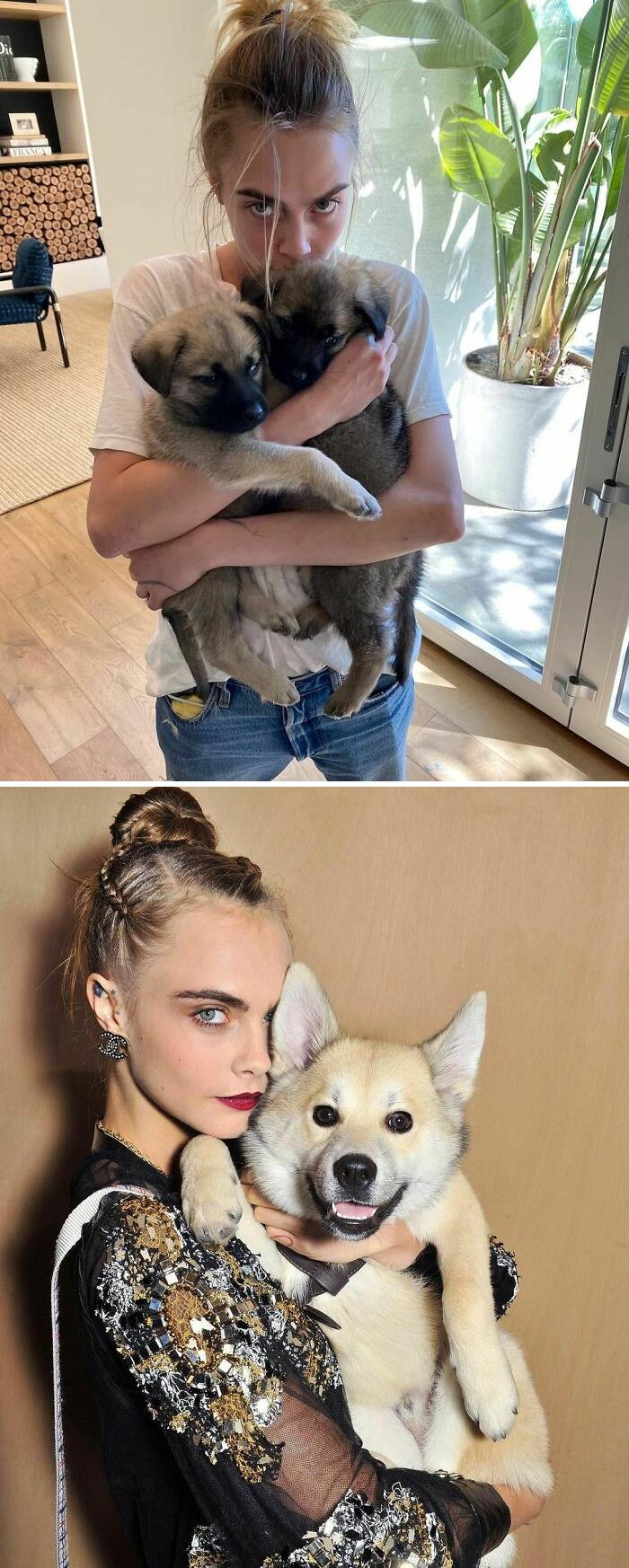 Cara Delevingne i pies