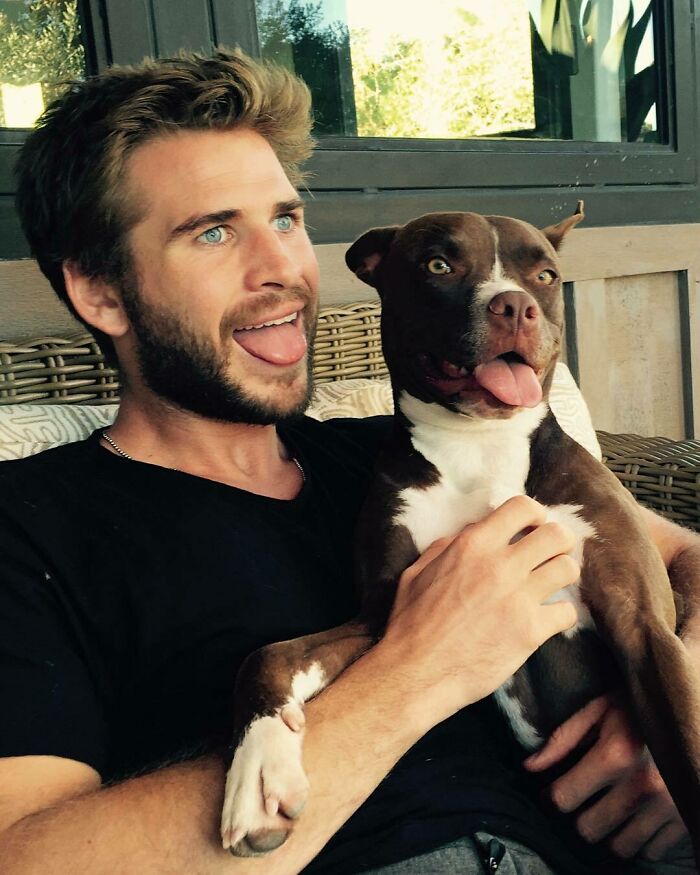 Liam Hemsworth i pies