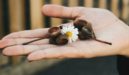 14 najbardziej nieprzyjemnych i zaskakujących rzeczy znalezionych przez informatyków w komputerach klientów