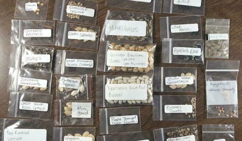 50 najlepszych zdjęć z grupy „Interesting Gardening”