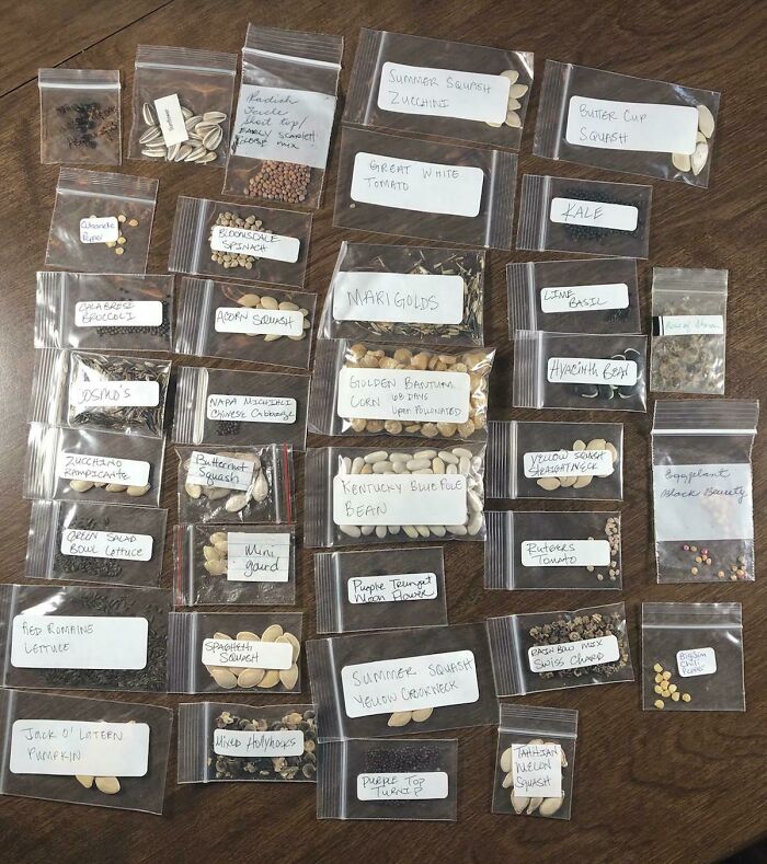 50 najlepszych zdjęć z grupy „Interesting Gardening”