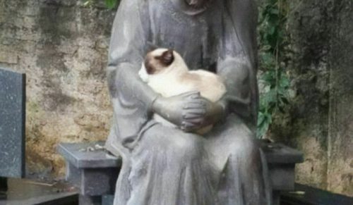 41 zabawnych zdjęć bez kontekstu, które im dłużej się na nie patrzysz, tym bardziej dezorientują