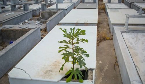 24 Przypadkowe Ujęcia Codzienności Zarejestrowane Przez Fotografa Ulicznego