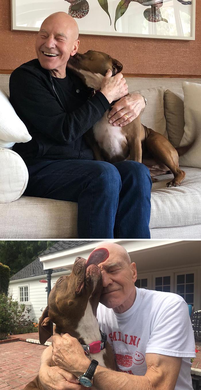 50 gwiazd, które otwarcie okazywały swoją ogromną miłość do psów