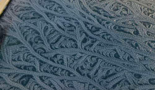 49 razy, gdy ludzie zauważyli coś dziwnego w naturze i podzielili się tym online