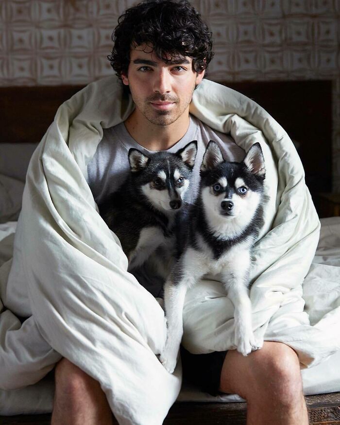 Joe Jonas z psem