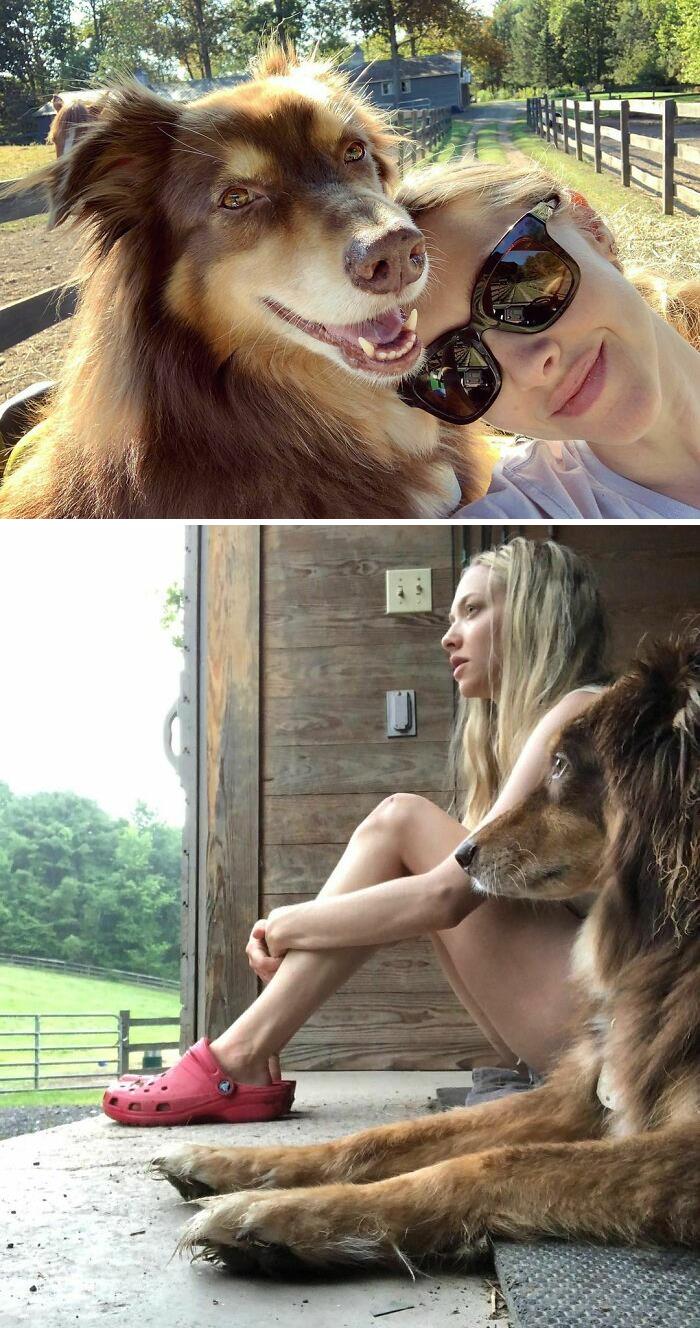Amanda Seyfried z psem