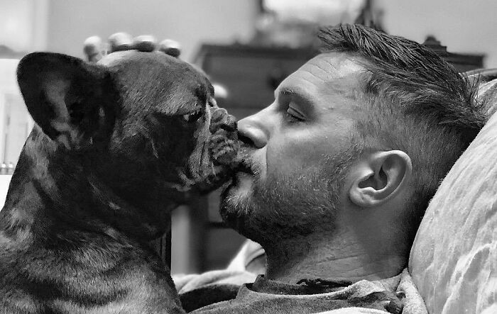Tom Hardy z psem
