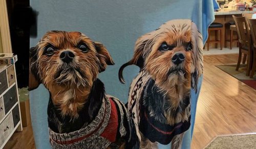 „Moje dziecko zapłakało”: ludzie pokazują, co zamówili, a co dostali — często to porażka