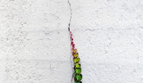 39 zdjęć przedstawiających ciekawe zbiegi okoliczności na chodnikach Nowego Jorku