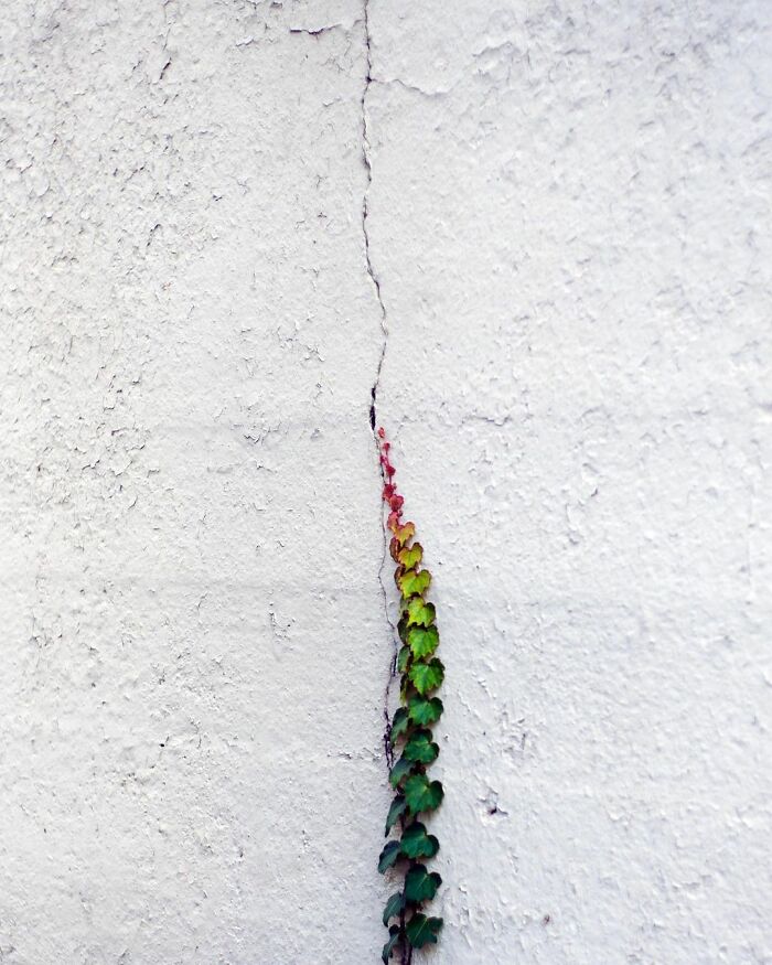 39 zdjęć przedstawiających interesujące zbiegi okoliczności na chodnikach Nowego Jorku