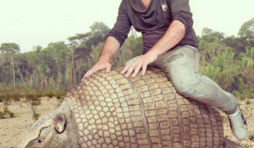 Artysta zestawia rozmiary wymarłych gatunków z współczesnymi krewniakami