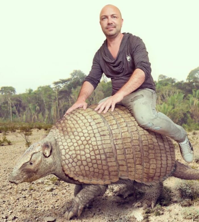 Artysta zestawia rozmiary wymarłych gatunków z współczesnymi krewniakami