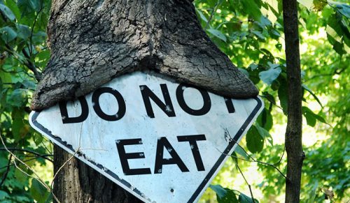 40 razy, gdy drzewa „pożerały” przedmioty – ludzie musieli to udokumentować