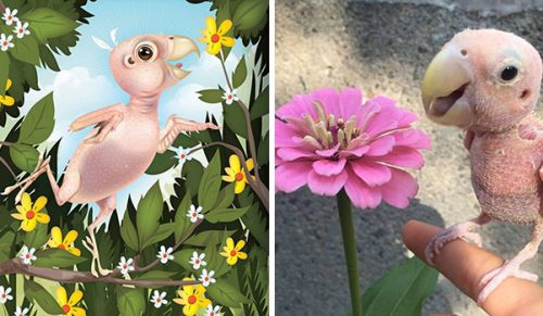 28 razy, kiedy zwierzaki zostały uwiecznione dokładnie tak, jak widzą je ich właściciele